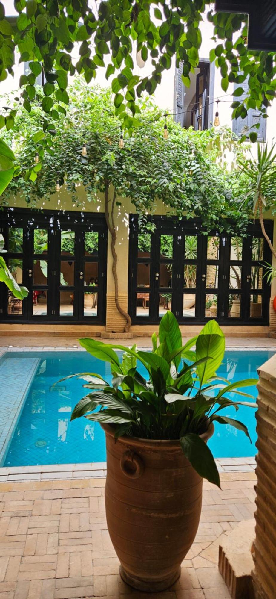Riad Dar Haven Tamraght 외부 사진